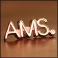 AMS® Lapel Pin Product Image