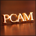 PCAM® Lapel Pin Product Image